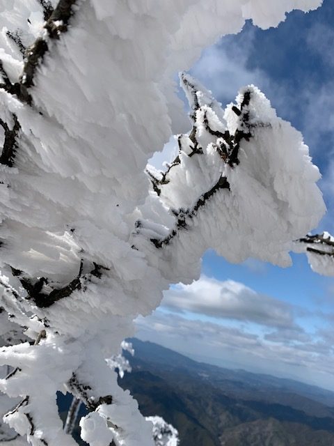 リベンジ高見山！　樹氷です～♬